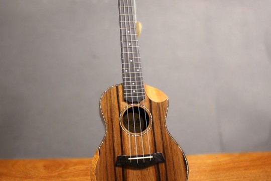 Ukulele: 4 sites para quem quer aprender ukulele