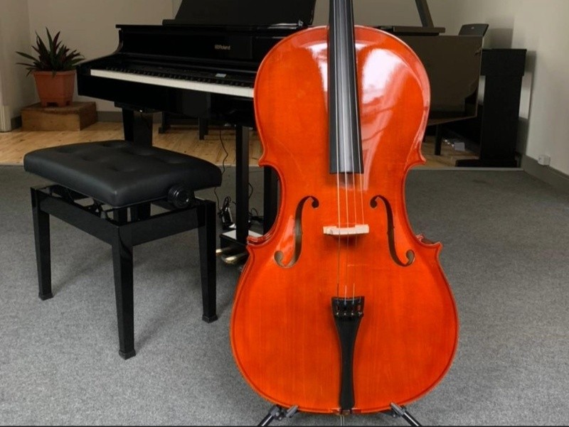 Violoncelo para iniciantes: o que avaliar antes de comprar seu primeiro instrumento?
