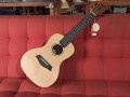 ukulele-tagima-concert-43k-cod-9523-3-640x480-jpg