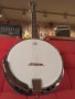 strinberg-banjo-5-c-sb-cod-9455-5-768x1024-jpg