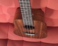 ukulele-spring-concert-cod-9536-2-copy-jpg