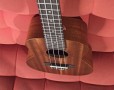 ukulele-spring-concert-cod-9536-2-jpg