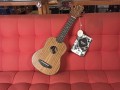 ukulele-kalani-soprano-eletr-kal300-cod-8980-4-640x480-jpg