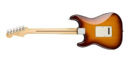 Guitarra Stratocaster FENDER Player Plus Top PF - 552 - Tobacco Burst