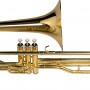trombone-michael-wtpm35n-eecd-1-png