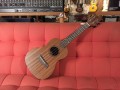 ukulele-strinberg-concerto-cod-9482-4-640x480-jpg