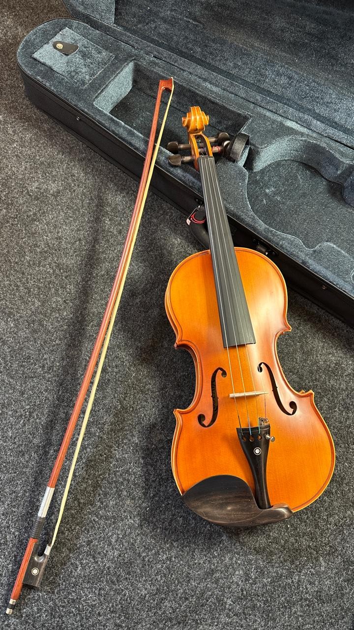 Violino 4/4 Vivace Beethoven Be44s Tampo Sólido Fosco 
