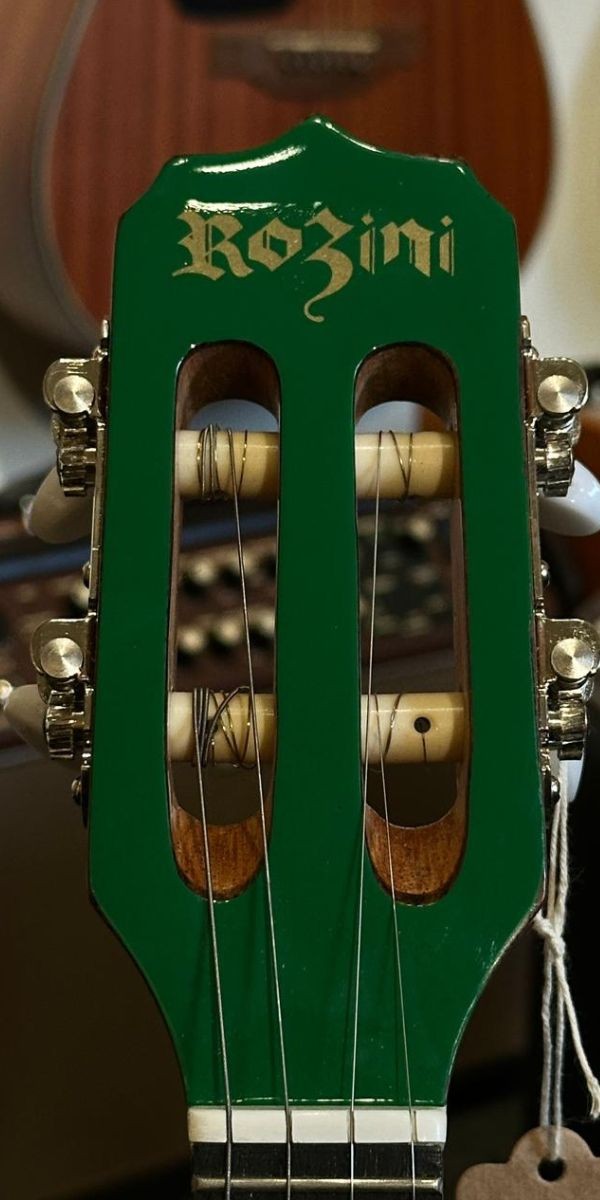Banjo Rozini Rj11.egc.vd Color Ativo Verde eq Gc-2 Caixa Larga 