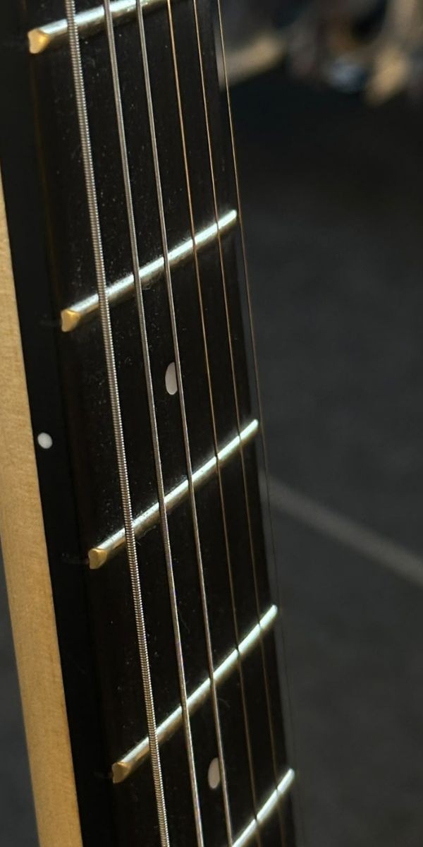 Guitarra Tagima Tw-88 hh Olympic White Owh Escudo Tortoise Tele 
