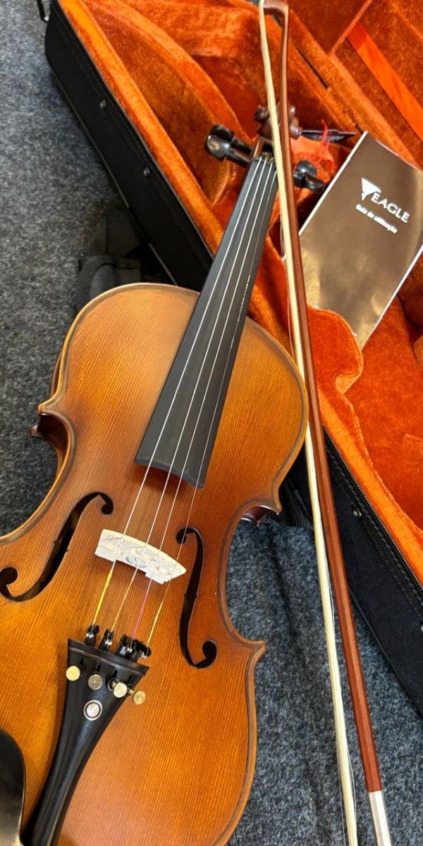 Violino Eagle ve 244 4/4 Envelhecido Acetinado Classic Series Tampo Sólido Com Estojo Luxo 
