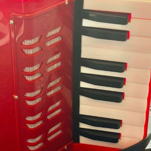 Acordeon Infantil Concert Ca8 rd Vermelho Sanfona Compacta Para Iniciantes 