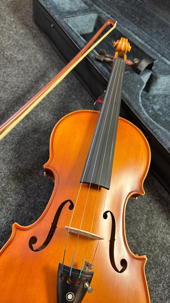 Violino 4/4 Vivace Beethoven Be44s Tampo Sólido Fosco 