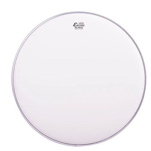 Pele Encore by Remo Ambassador Coated 12" Porosa En-0112-ba 