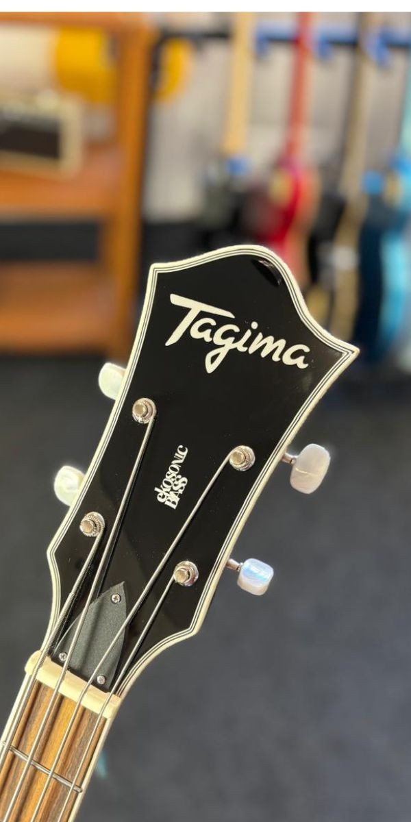 Contrabaixo Semi Acústico Tagima Ekosonic Bass sb Escala Escura Com Case 