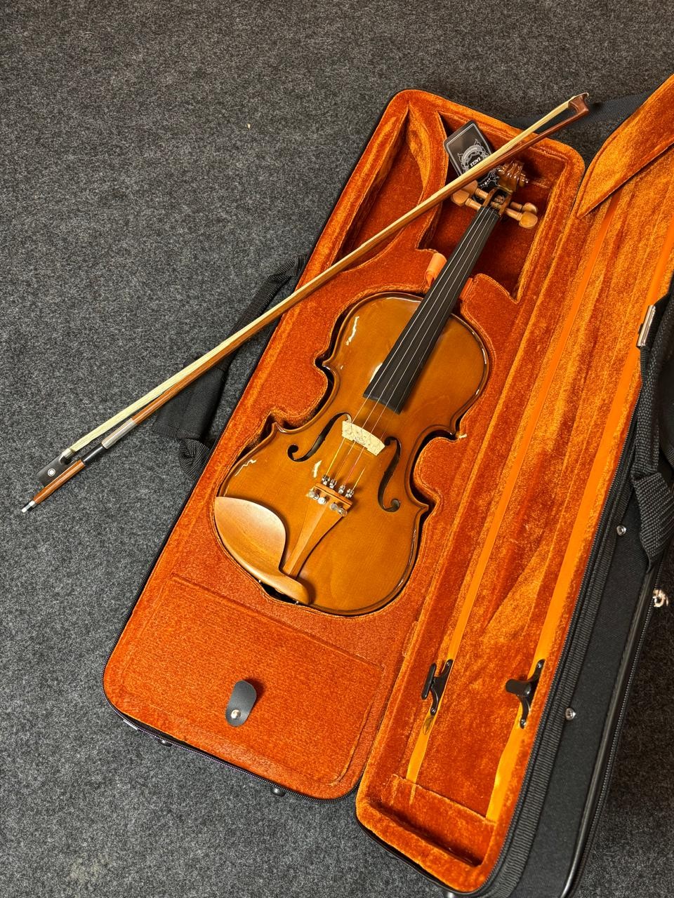 Violino Eagle Enverzinado Tampo Sólido Ve-441 4/4 