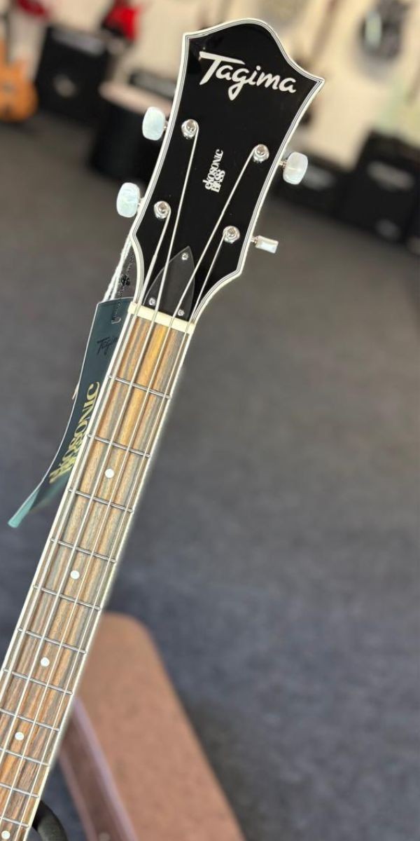 Contrabaixo Semi Acústico Tagima Ekosonic Bass sb Escala Escura Com Case 