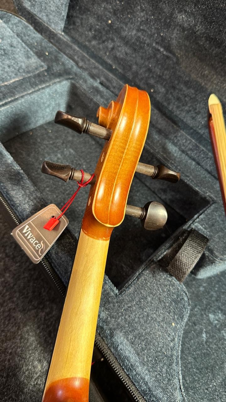 Violino 4/4 Vivace Beethoven Be44s Tampo Sólido Fosco 