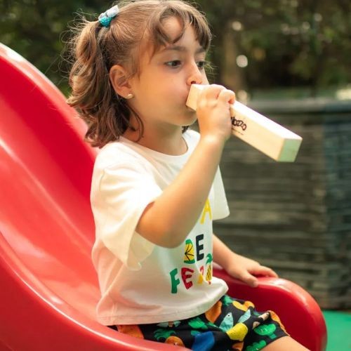 Apito Kidzzo de Trem Infantil em Madeira 