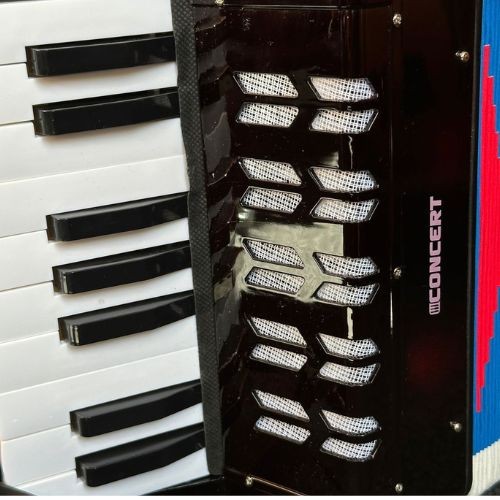 Acordeon Infantil Concert Ca8 bk Preto 8 Baixos 17 Teclas Sanfona Infantil 