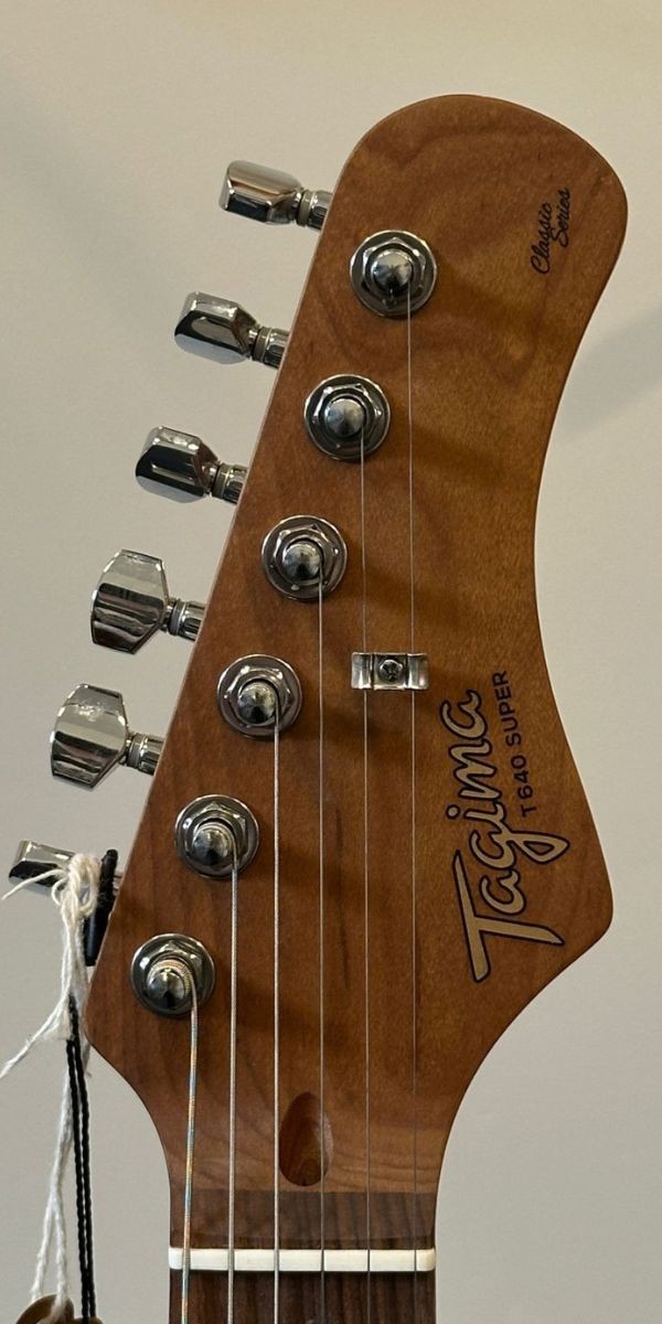 Guitarra Tagima T-640 Super Mstg Mystic Green Hss Alnico Escala Escura 