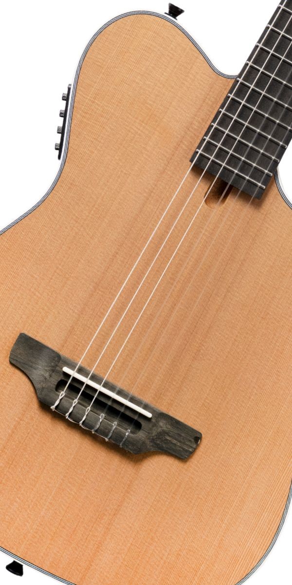 Violão Michael Gmh330 Mhy Neoedge Flat Nylon Eletroacústico Mahogany Com Bag 