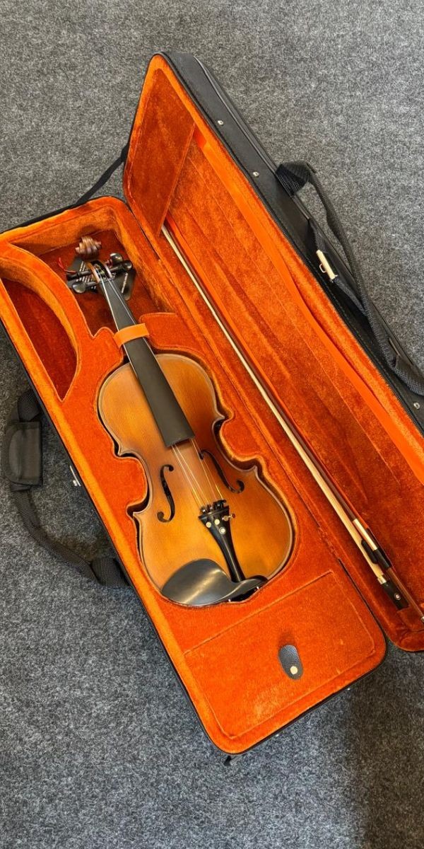 Violino Eagle ve 244 4/4 Envelhecido Acetinado Classic Series Tampo Sólido Com Estojo Luxo 
