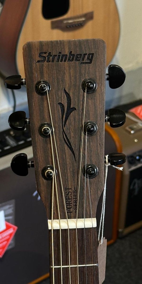 Violão Strinberg Forest Fs4d ws Folk Aço Eletroacústico Cutaway Walnut Satin Com Afinador 