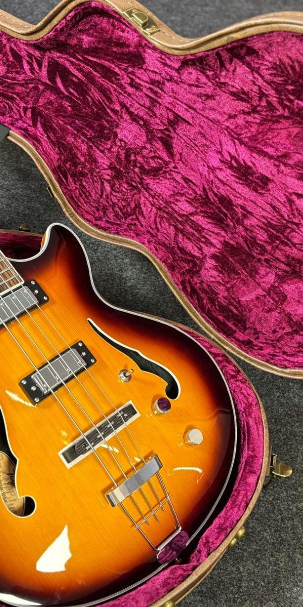 Contrabaixo Semi Acústico Tagima Ekosonic Bass sb Escala Escura Com Case 