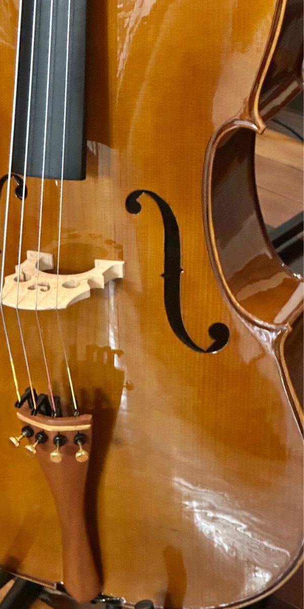 Violoncelo Eagle Ce200 4/4 Cello Com Arco, Breu e Capa Extra Luxo 
