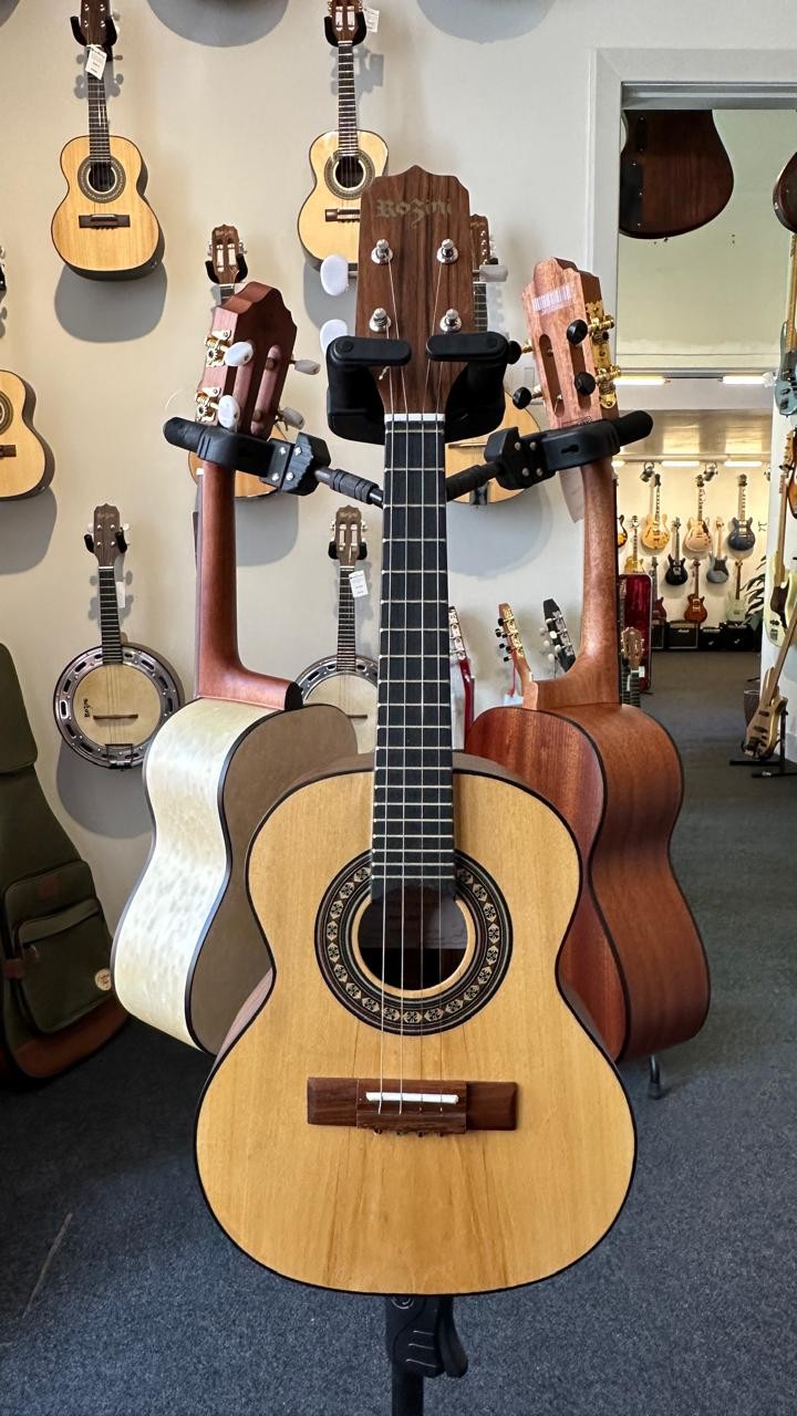 Cavaco Elétrico Rozini Estudante Rc10.el.fi Imbuia Fosco 