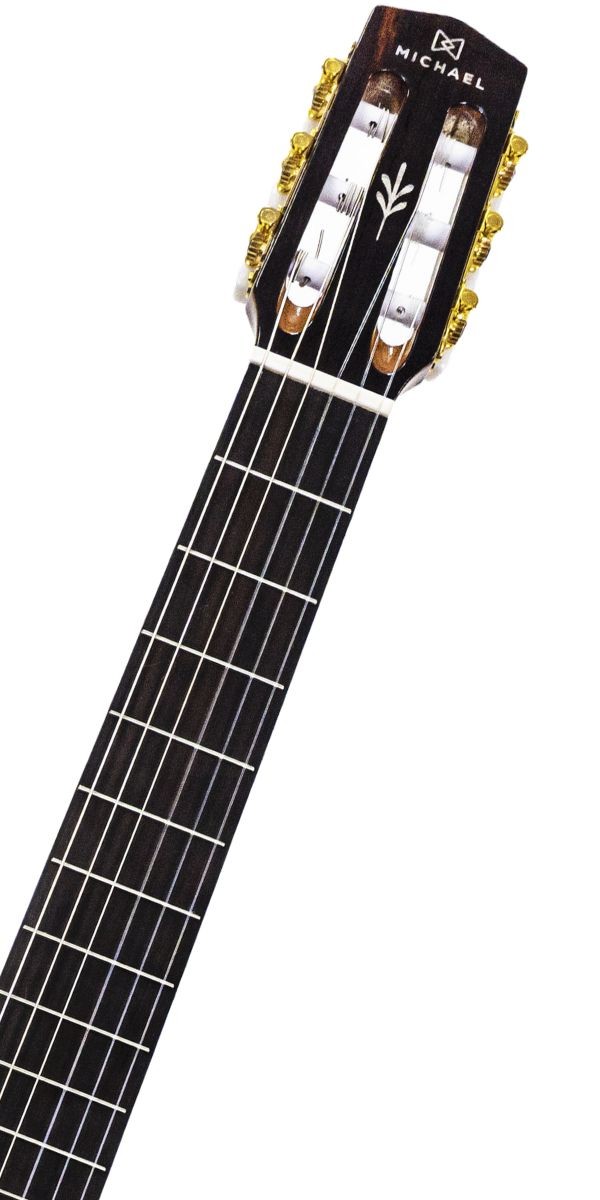 Violão Michael Vmr250fl Renascence Flat Nylon Elétrico Cutaway Com Bag Luxo 