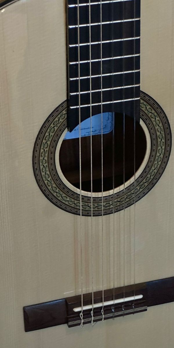 Violão Nylon Elétrico Rozini Rx213.fcb.n.j Natural Fishman Clásica Blend Jacarandá 