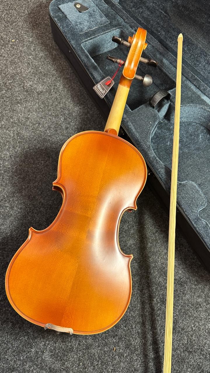 Violino 4/4 Vivace Beethoven Be44s Tampo Sólido Fosco 