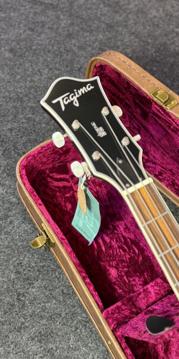Contrabaixo Semi Acústico Tagima Ekosonic Bass sb Escala Escura Com Case 