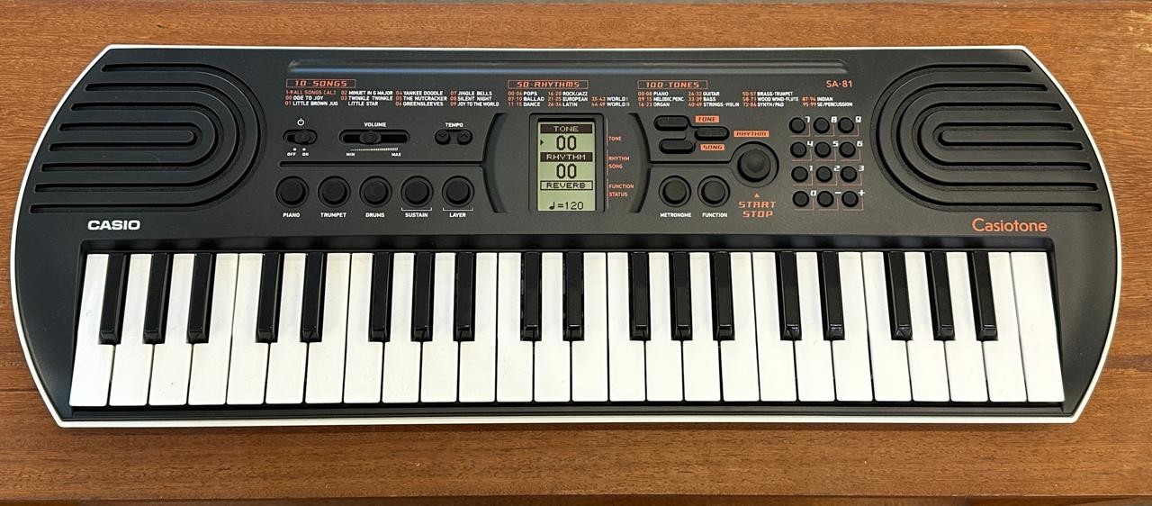 Teclado Casio Infantil Sa81h2 44 Teclas