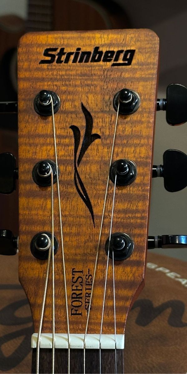 Violão Strinberg Forest Fs4d Fob Folk Eletroacústico Aço Flamed Okoume Burst 