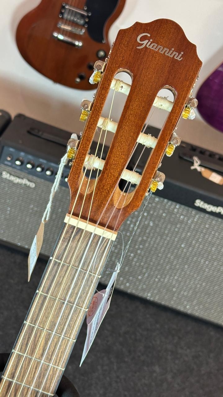 Violão Aço Eletroacústico Giannini Performance Plus N-17 n (natural) 