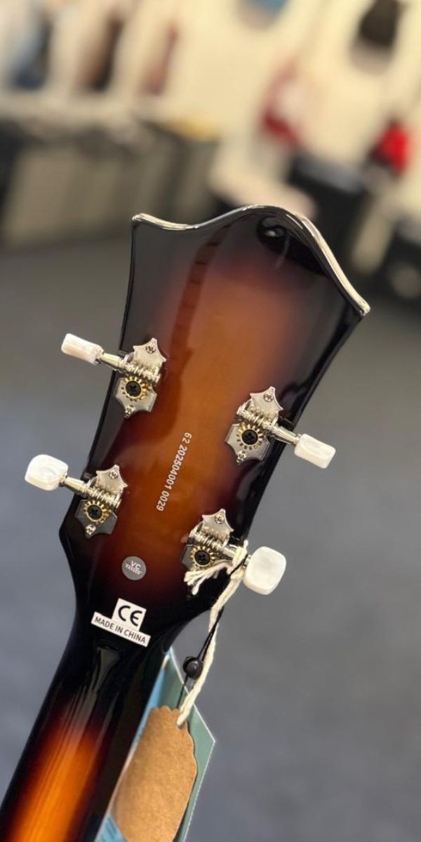 Contrabaixo Semi Acústico Tagima Ekosonic Bass sb Escala Escura Com Case 
