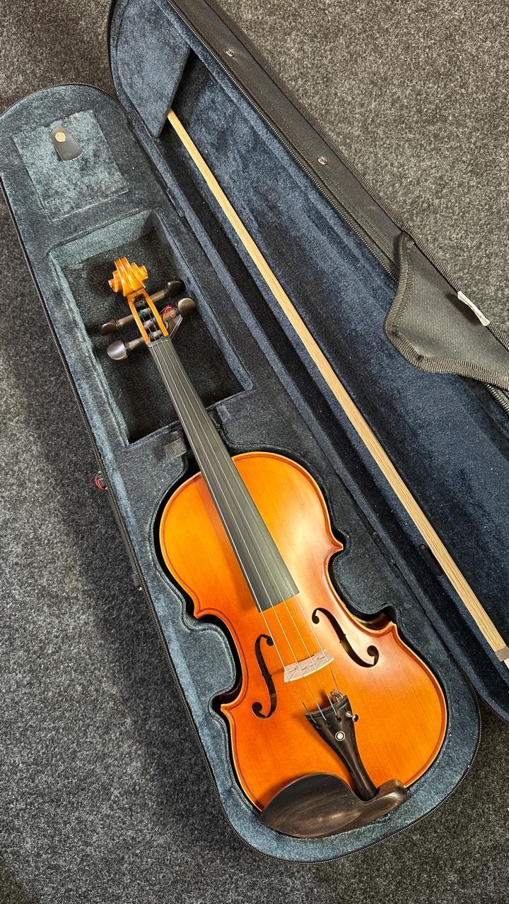 Violino 4/4 Vivace Beethoven Be44s Tampo Sólido Fosco 